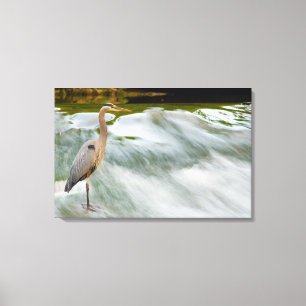 Impressão Em Tela Heron pescando em Olmstead Falls, Ohio