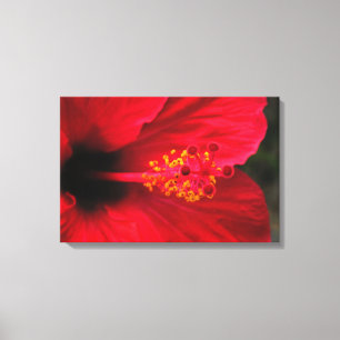 Impressão Em Tela hibisco