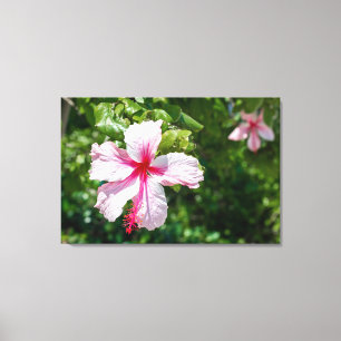 Impressão Em Tela Hibisco Rosa de Miami Flor Tropical em Flor 