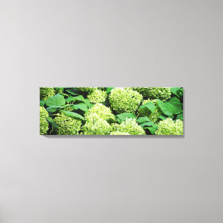 Impressão Em Tela Hidrangea verde