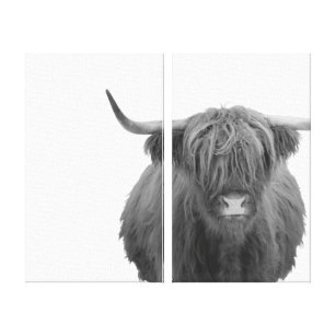 Impressão Em Tela Highland Cow Scotland Black White 