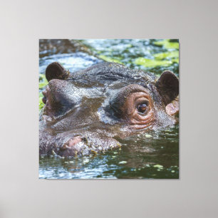 Impressão Em Tela Hippo No Triptych Da Água