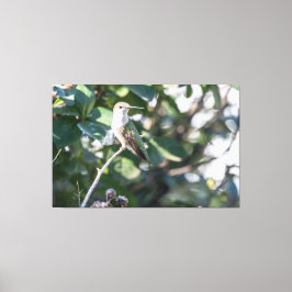 Impressão Em Tela Homem-Juvenil-Ameaça-Rubi