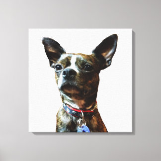 Impressão Em Tela Homem-Marv