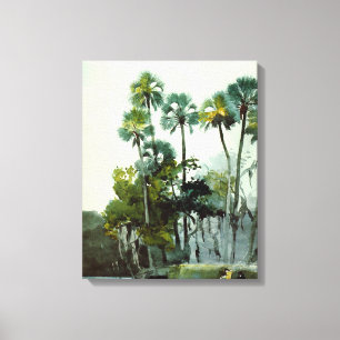 Impressão Em Tela Homer - Rio Homosassa