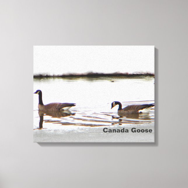 Impressão Em Tela Honkers - Canadá Geese (Frente)