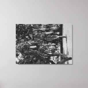 Impressão Em Tela Honolulu, HI - Universidade do Havaí