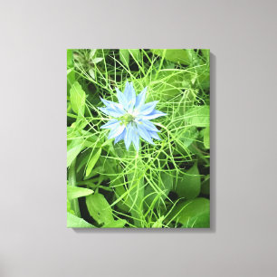 Impressão Em Tela Hope 16 x 20