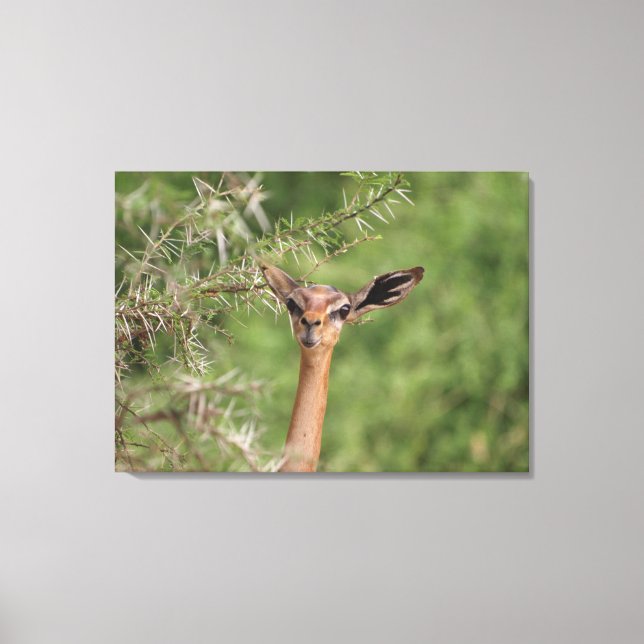 Impressão Em Tela Hora do almoço (Frente)