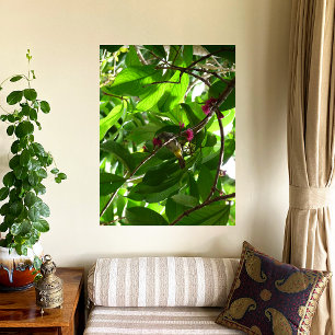 Impressão Em Tela Hora do almoço na árvore