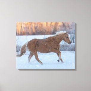 Impressão Em Tela Horse Drive in Winter on Hideout Ranch