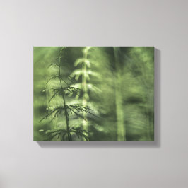 Impressão Em Tela Horsetail Foto verde floral