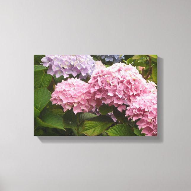 Impressão Em Tela Hortênsias Elegantes (Frente)