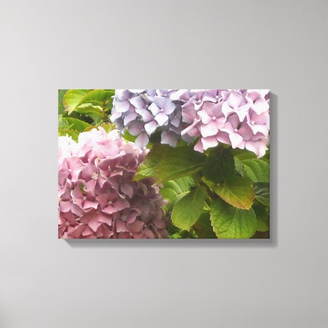 Impressão Em Tela Hortênsias Pastel (Frente)