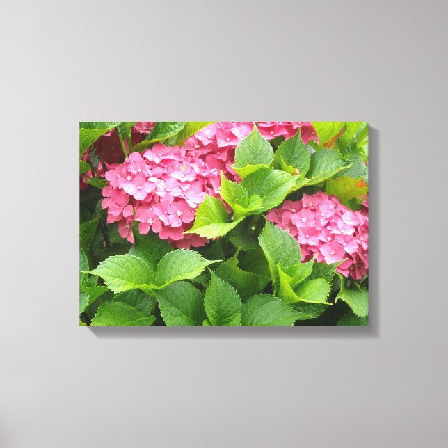 Impressão Em Tela Hortênsias Rosa Brilhante (Frente)
