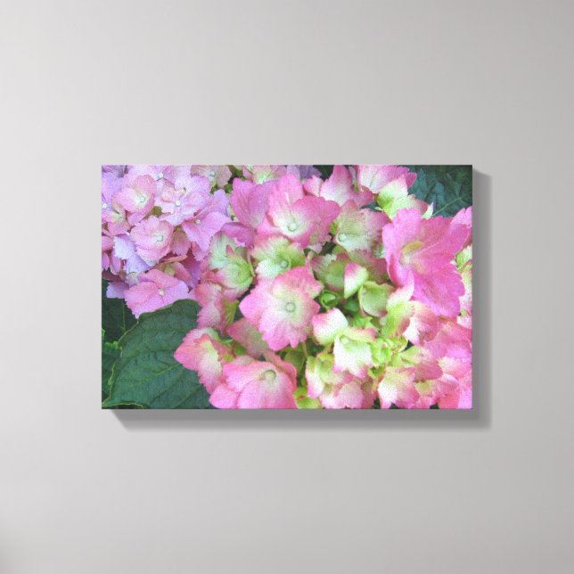 Impressão Em Tela Hortênsias Rosa Elegantes (Frente)
