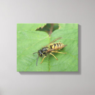 Impressão Em Tela Hoverfly em uma tela de folhas impressa