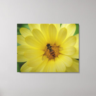 Impressão Em Tela Hoverfly em uma tela Marigold