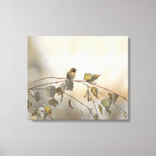 Impressão Em Tela Hummingbird 5265