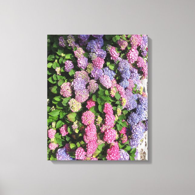 Impressão Em Tela Hydrangea bush Toile tendue (Frente)