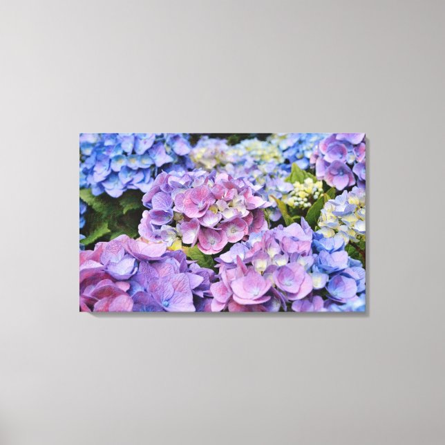 Impressão Em Tela Hydrangea Flores Coloridas Arte Fotográfica (Frente)
