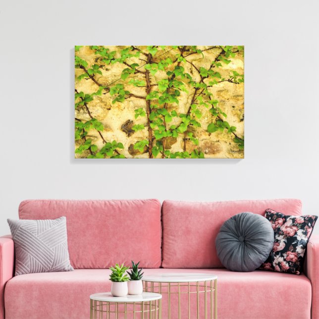 Impressão Em Tela Hydrangea petiolaris (Insitu(Sala de estar))