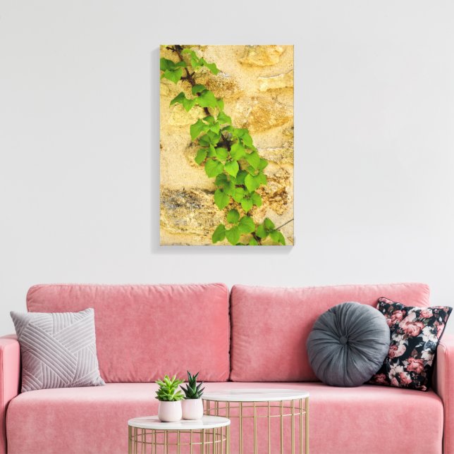 Impressão Em Tela Hydrangea petiolaris (Insitu(Sala de estar))