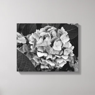 Impressão Em Tela Hydrangea preto e branco da arte da parede