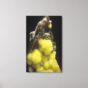 Impressão Em Tela Hydroboracite em Gorgeyite, Kazakhstan