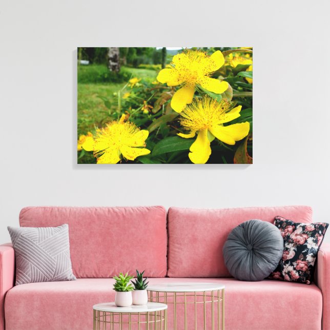 Impressão Em Tela Hypericum calycinum (Insitu(Sala de estar))
