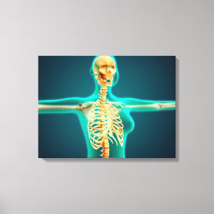 Impressão Em Tela Ideia do raio X da parte superior do corpo fêmea