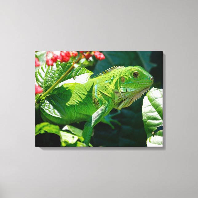 Impressão Em Tela Iguana (Frente)