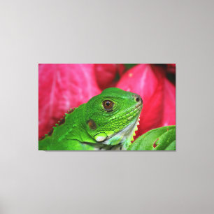Impressão Em Tela Iguana - rosa e verde