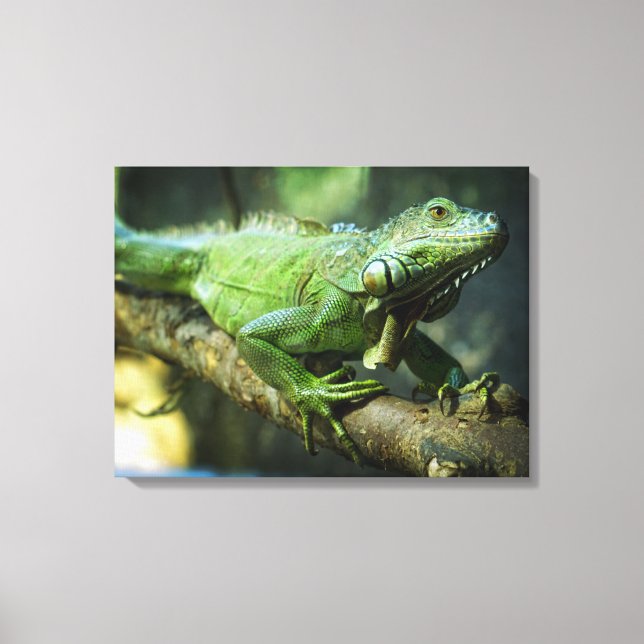 Impressão Em Tela Iguana Verde (Frente)