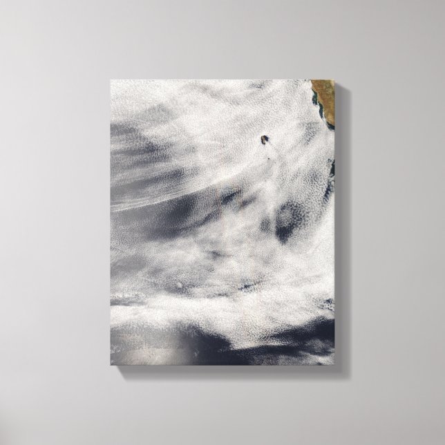 Impressão Em Tela Ilha Guadalupe (Frente)