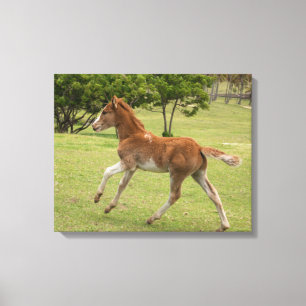 Impressão Em Tela Ilha páscoa Rapa Nui