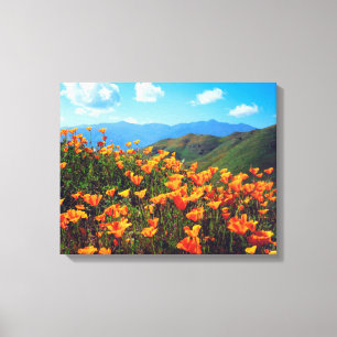 Impressão Em Tela Ilhas da Califórnia cobrindo uma colina