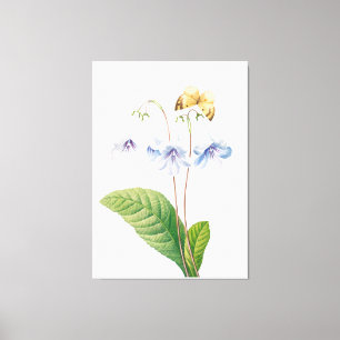 Impressão Em Tela Ilustração Botânica Vintage