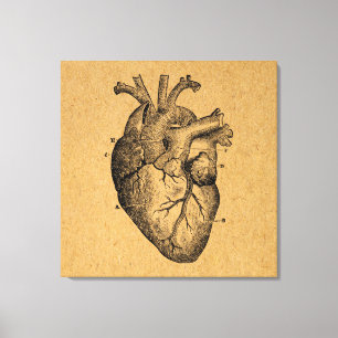 Impressão Em Tela Ilustração de Diagrama de Coração Vintage