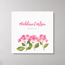 Ilustração de Lacecaps de Hortênsia Rosa em Aquare