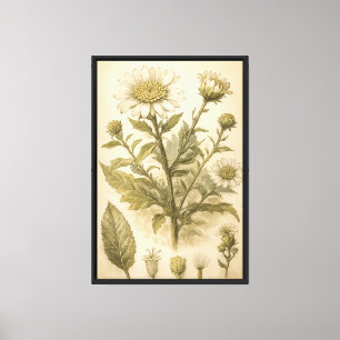 Impressão Em Tela Ilustração de Placa de Flor Botânica Vintage