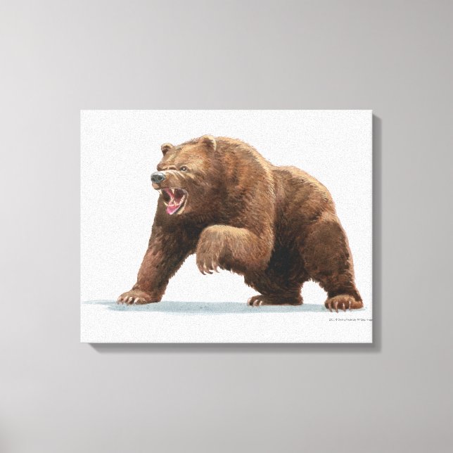 Impressão Em Tela Ilustração de um urso pardo (Frente)