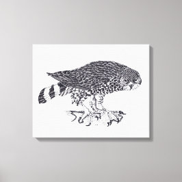 Impressão Em Tela Imagem a preto e branco de Sparrow Hawk
