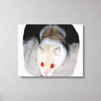 Impressão Em Tela Imagem branca e loira do hamster albino
