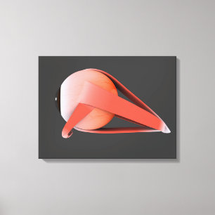 Impressão Em Tela Imagem Conceitual Da Anatomia Ocular Humana 7