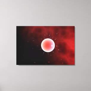 Impressão Em Tela Imagem Conceitual Da Fertilização Comum