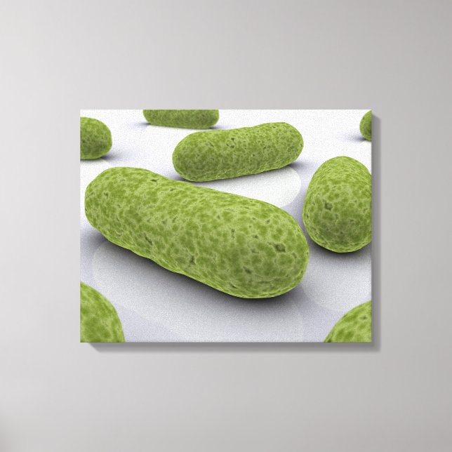 Impressão Em Tela Imagem Conceitual Das Bactérias 1 (Frente)
