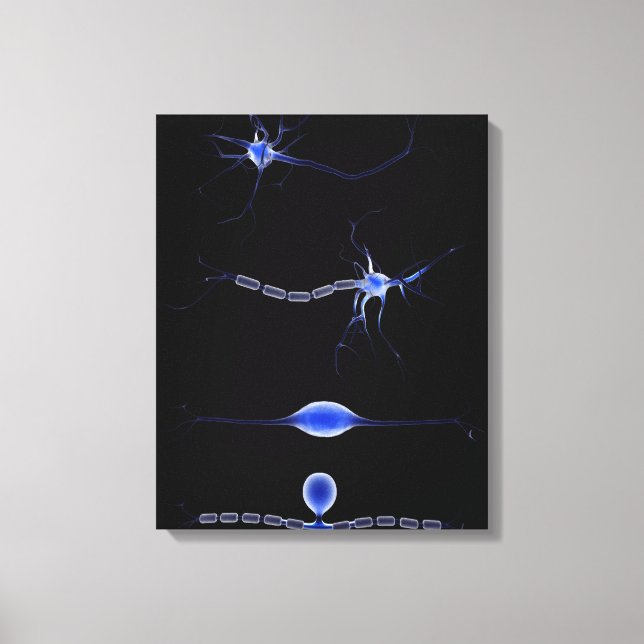 Impressão Em Tela Imagem Conceitual De Um Neurônio 1 (Frente)