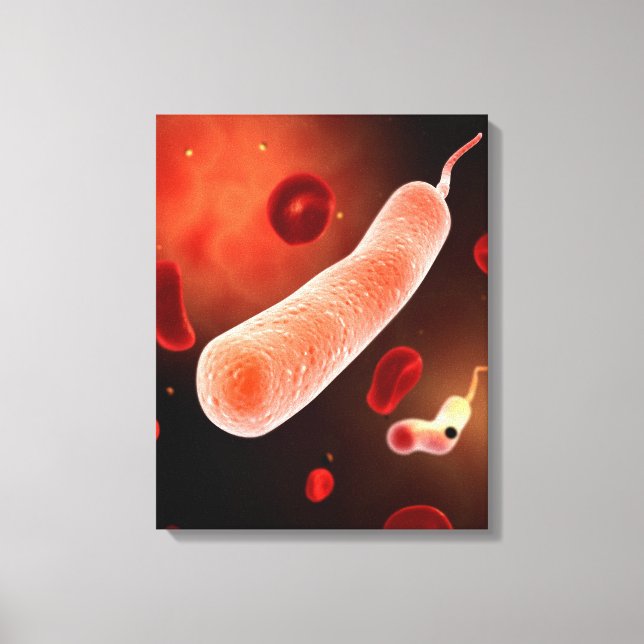 Impressão Em Tela Imagem Conceitual De Vibrio Cholerae 2 (Frente)