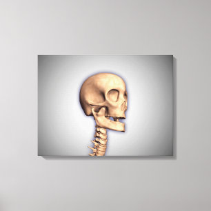 Impressão Em Tela Imagem Conceitual Do Crânio Humano E Da Medula Esp